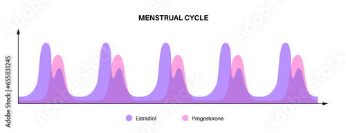 Hormones in pregnancy