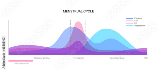 Hormones in pregnancy