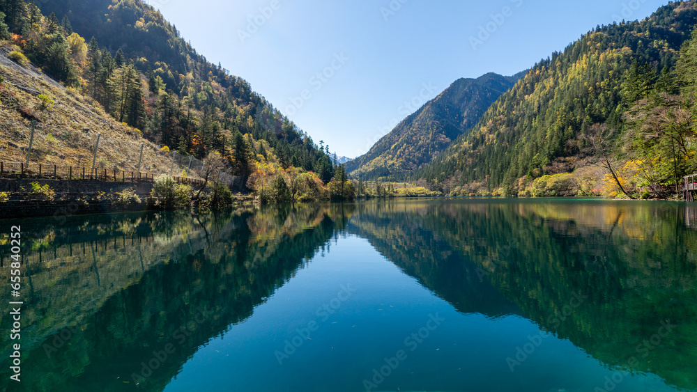 Panda Lake's water reflection in Jiuzhaigou, China: A mirror to the sky and autumn trees, capturing the tranquil essence of the surrounding forest.