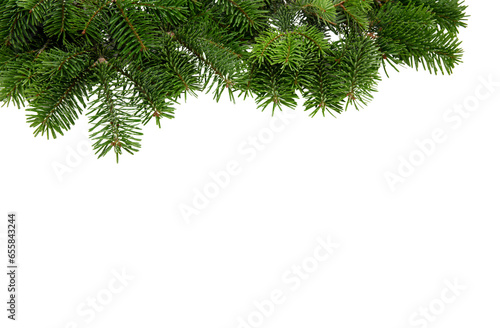 Christmas tree border isolated on white transparent  Xmas spruce  green fir pine branch  PNG. 