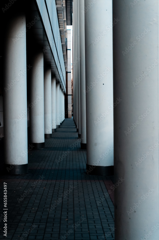perspective of concrete columns of modern building 
