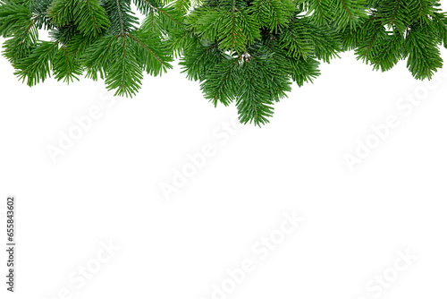 Christmas tree border isolated on white transparent, Xmas spruce, green fir pine branch, PNG. 