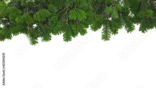 Christmas tree border isolated on white transparent, Xmas spruce, green fir pine branch, PNG.