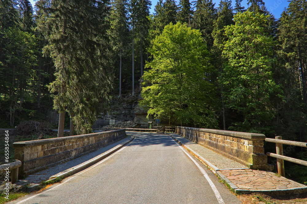 Obraz premium Road bridge over Divoka Orlice at Zemska brana,Pardubice Region,Czech Republic,Europe 