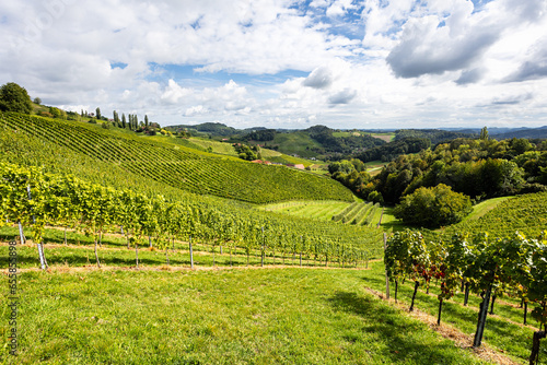 Landscape of vineyards in Steirmark, Austria photo