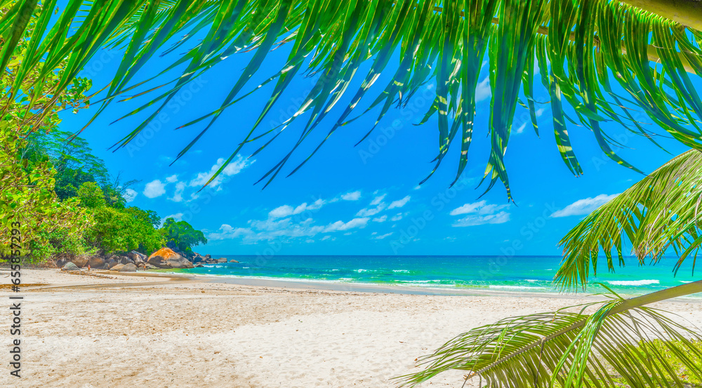 Obraz premium Palm trees and white sand in Anse Louis