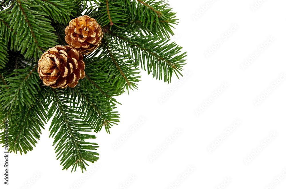 Φωτογραφία Christmas tree branch and cones isolated on white transparent, Xmas spruce, green fir pine twig, PNG