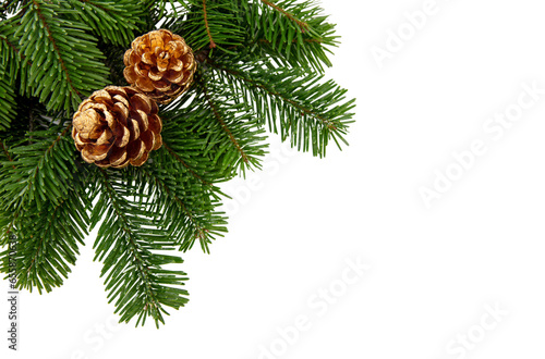 Christmas tree branch and cones isolated on white transparent, Xmas spruce, green fir pine twig, PNG.