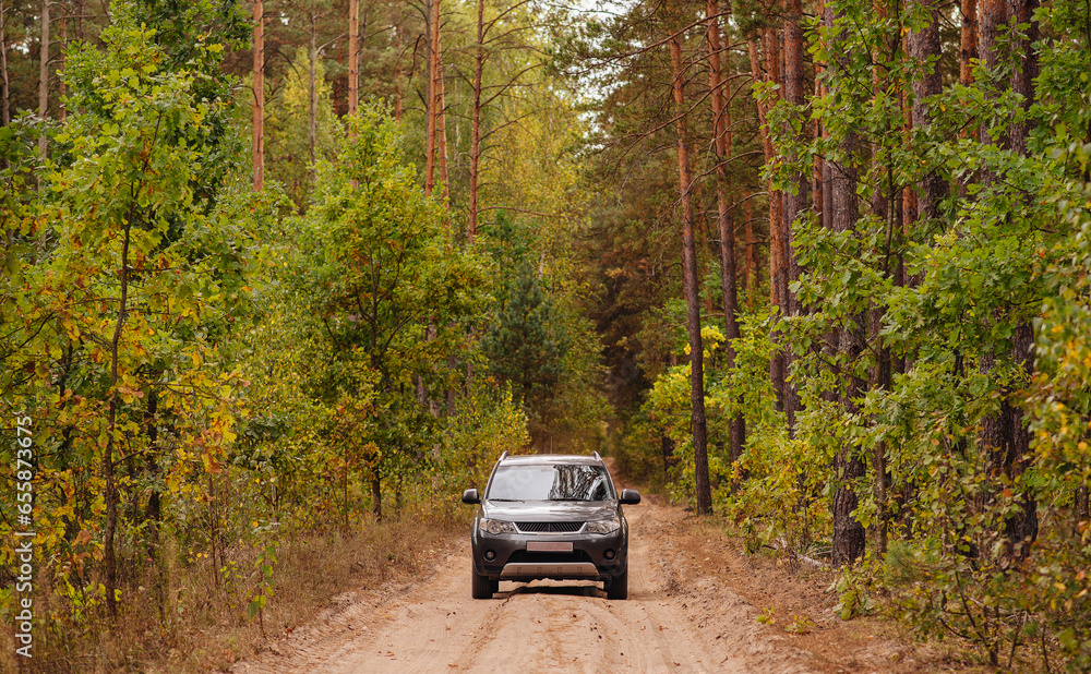 Road trips to the countryside. A car stands on the road in an autumn forest among trees