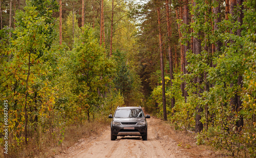 Road trips to the countryside. A car stands on the road in an autumn forest among trees