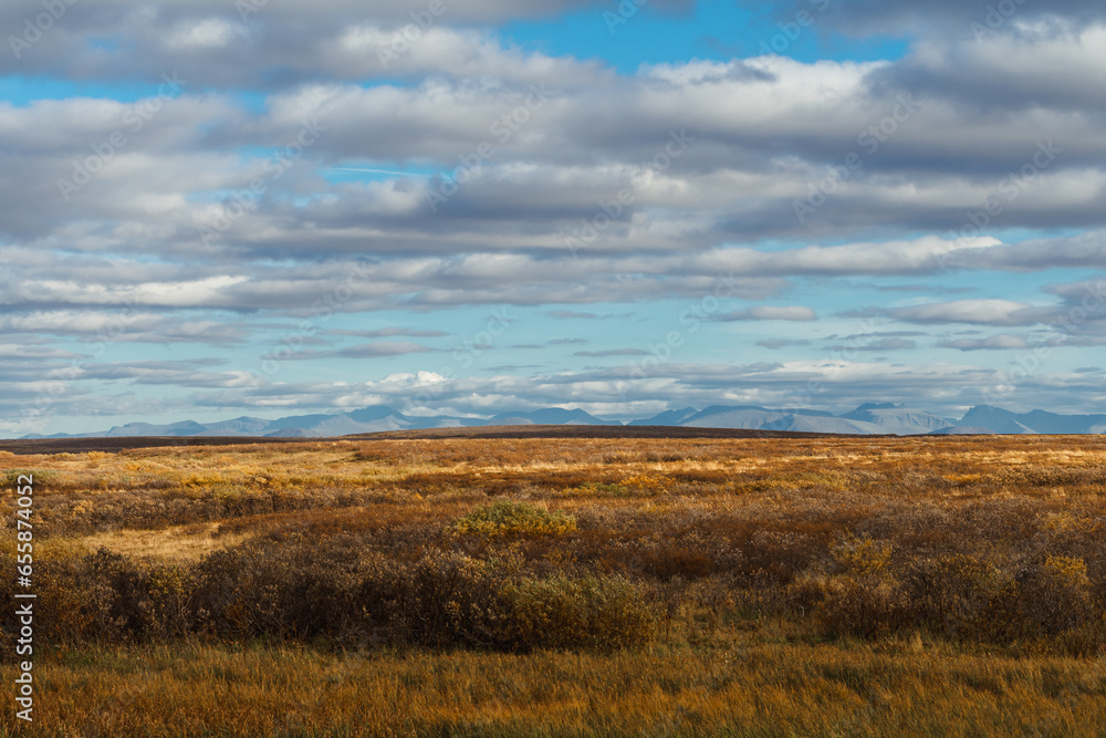 Colorful autumn landscape. View of the tundra and mountains. Travel to the far North. 