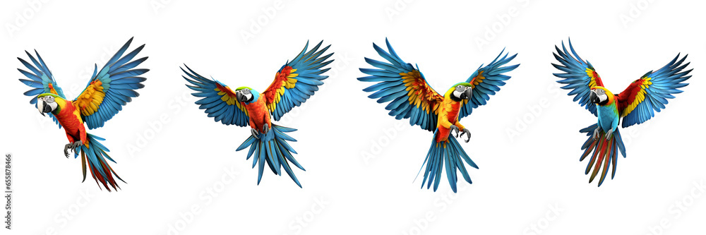 flying macaw parrot isolated on a transparent background