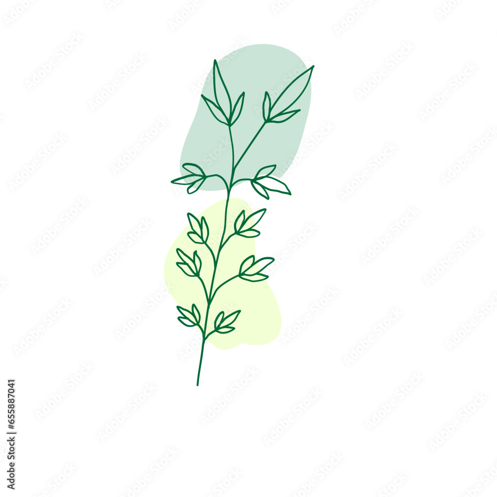 Naklejka premium leaves isolated on white