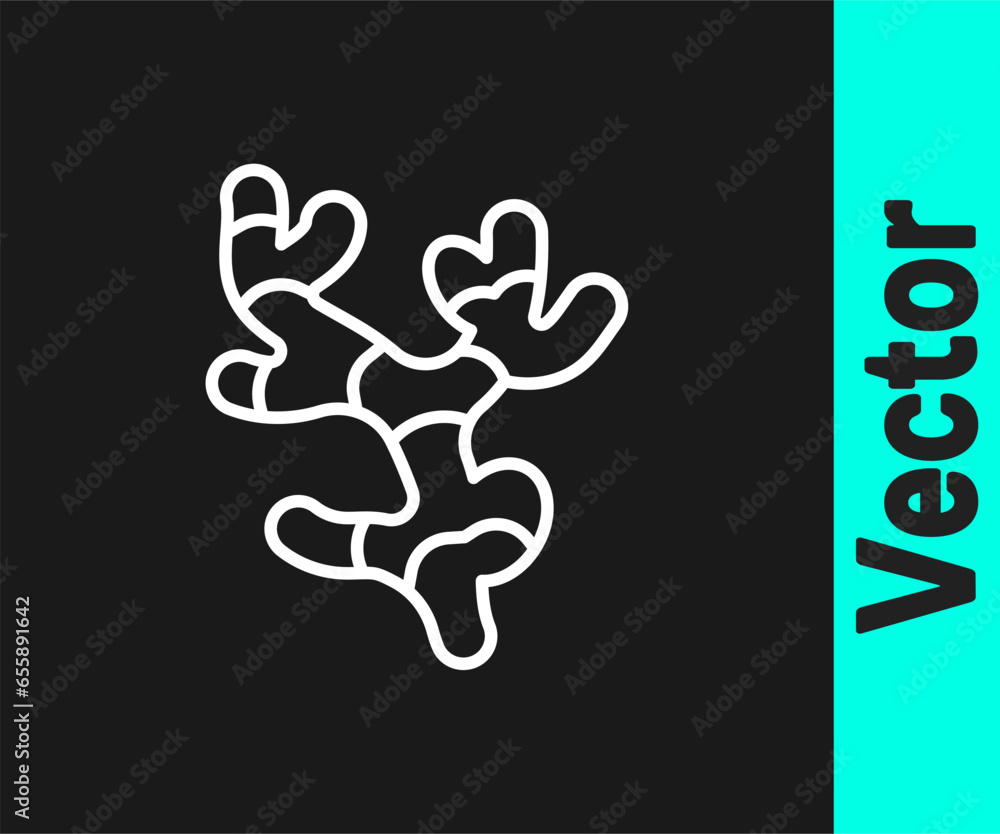 White line Ginger root icon isolated on black background. Vector