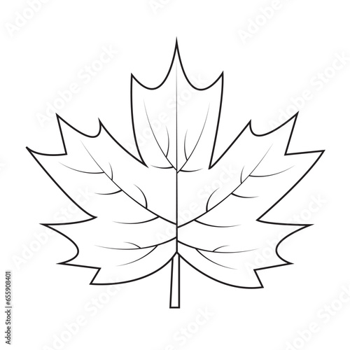 Contour drawing of a maple leaf. Autumn leaf