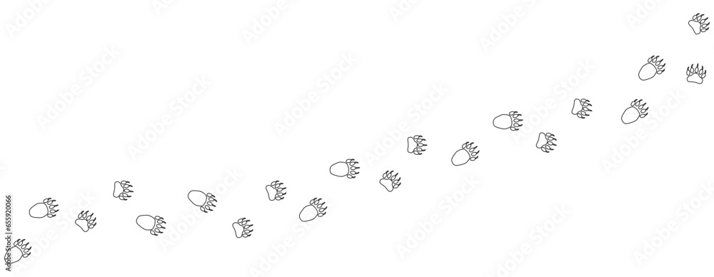 Path of bear footprints. Tracks of paw prints of bear, panda, grizzly bear in the snow. Contour. Bear trail. Vector isolated on white. For print, textile, postcard, book design, games, pet store zoo Path of bear footprints. Tracks of paw prints of bear, panda, grizzly bear in the snow. Contour. Bear trail. Vector isolated on white. For print, textile, postcard, book design, games, pet store zoo