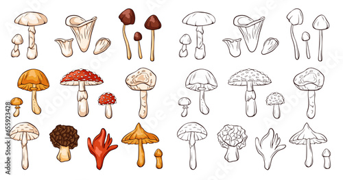 Inedible mushrooms set in line art style. Collection of colorful and monochrome mushrooms. Vector illustration isolated on a white background.