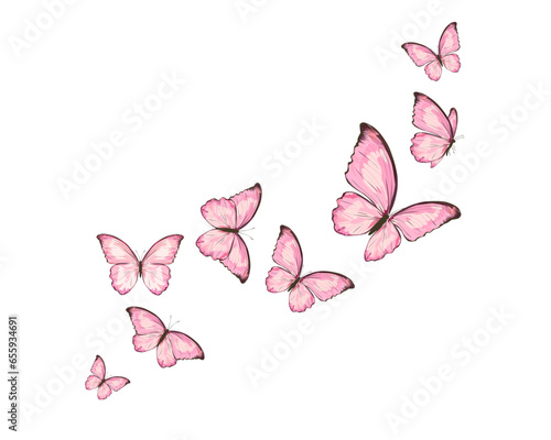 butterflies and flowers