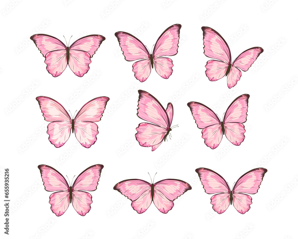 butterflies and flowers butterflies and flowers