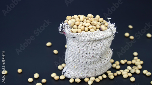 Closeup of Dried soybean or soya beans. Glycine max photo