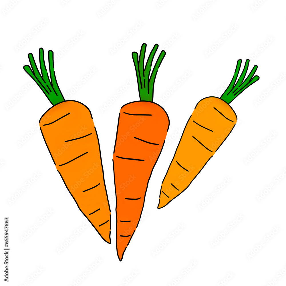 carrots and carrot, fresh and beautiful hand painted carrots carrots and carrot, fresh and beautiful hand painted carrots