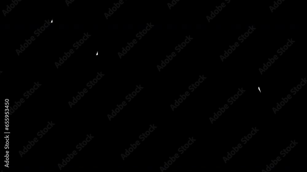 Animation Black and White video transition Animation Black and White video transition