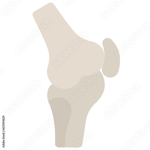 Knee Joint Icon