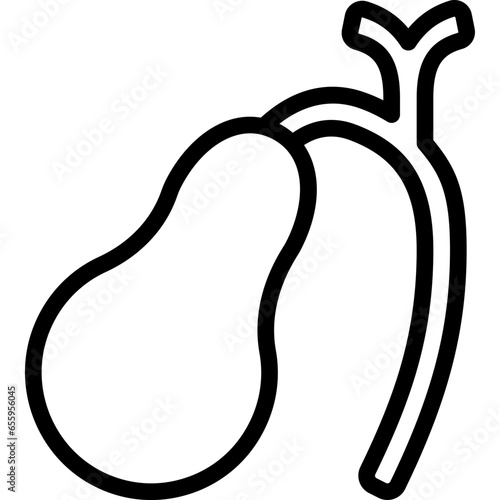 Gallbladder Icon