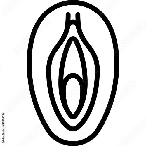 Vagina Icon