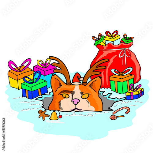 Cats and Christmas gifts