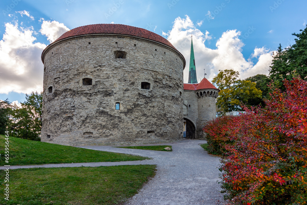 Obraz na płótnie Fat Margaret tower in autumn, Tallinn, Estonia w salonie
