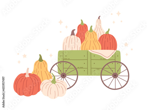 Pumpkins of different colors and shapes in wheelbarrow. Hello autumn, autumn harvest, autumn design elements. Vector illustration in flat style