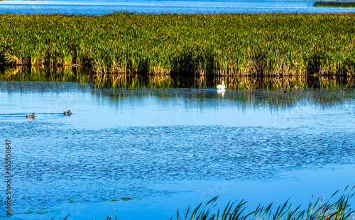 Kinnbrook Island Provincial Park Alberta Canada photo