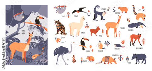 Set of South American animals with floral elements and captions. Vector illustration in hand drawn style isolated on white background