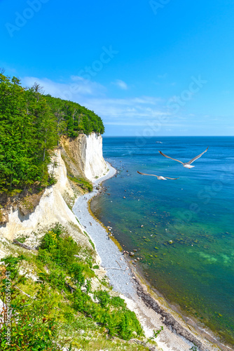 Chalk coast in the Jasmund National Park on the German island of Rügen