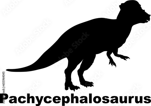 Pachycephalosaurus Dinosaur Silhouette. Dinosaur name breeds SVG Types of dinosaurs  © Pony 3000