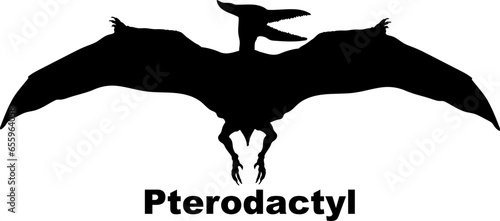 Pterodactyl Dinosaur Silhouette. Dinosaur name breeds SVG Types of dinosaurs 