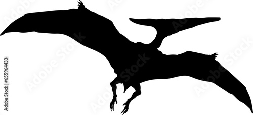 Pteranodon Dinosaur Silhouette.  Dinosaur SVG Types of dinosaurs
