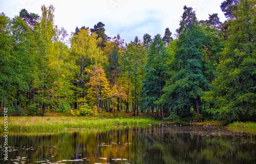 lake in the autumn forest