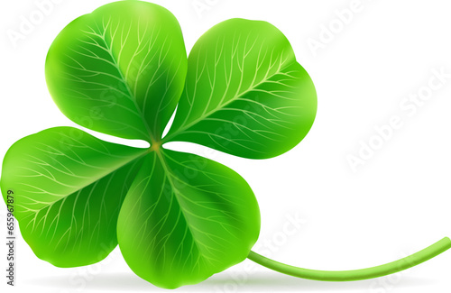 Lucky clover flower