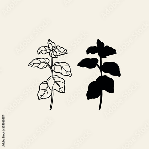 Flat vector mint branch illustration