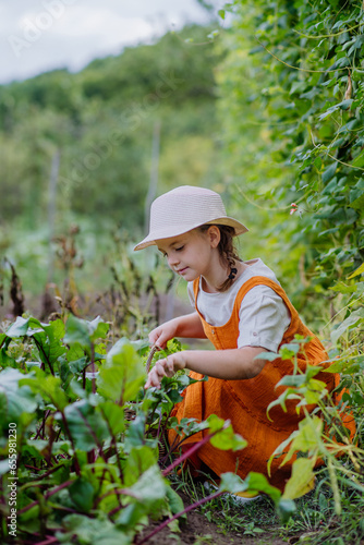 Portrait of a cute little girl working in an autumn garden.
