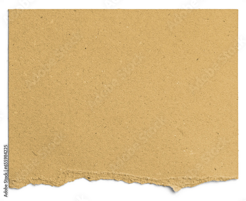 Wallpaper Mural Yellow Cardboard Paper Half Torn 2 Torontodigital.ca