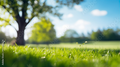 Lawn on sunny day with blurred background. Beautiful image of nature with clear sky in summer day. Beautiful field in the park.