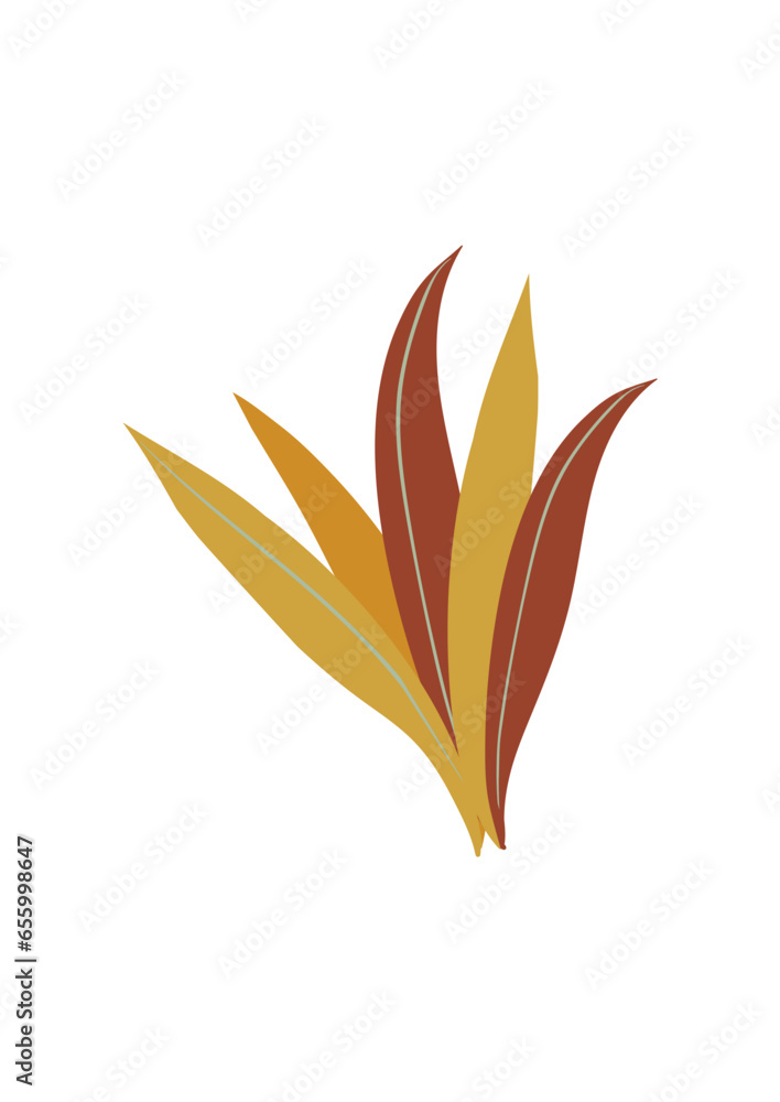 grass leaves 23 grass leaves 23
