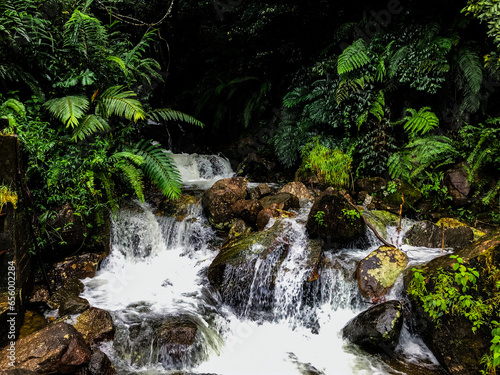 waterfall in the forest