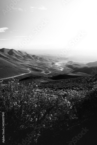 camino