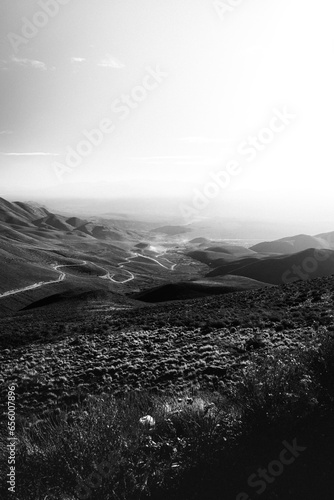 camino