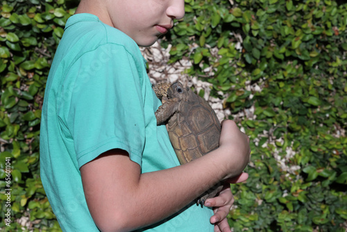 Boy holding his turtle up and hugging it. Boy with his pet. Turtle of the Chelonoidis chilensis family. Chelonian reptile. Animal with shell.