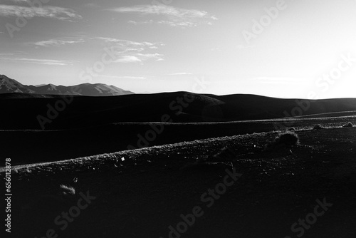 horizonte byn